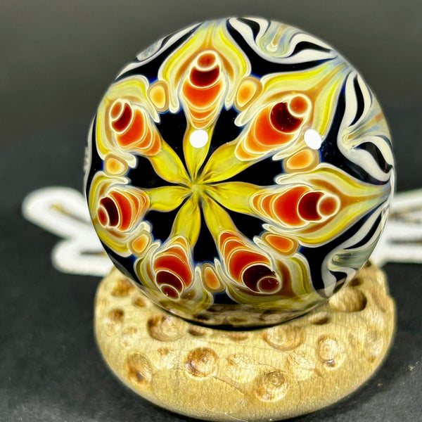 Anton Bodor Art Glass Marble, Jelly Daze OG all day, 2025