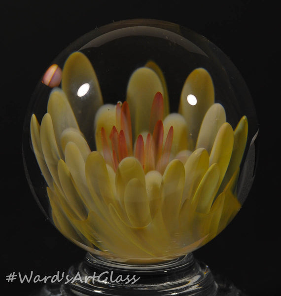 Andrew Groner Bloom Fumed flower, pillows. 1 1/2” - Ward's Art Glass, [product type] - Art Glass, Marble